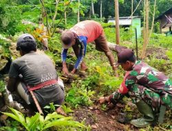 Bantu Tingkatkan Ekonomi Warga Desa Doka Kaka, Babinsa Koramil 01 Loli Beri Bibit Tanaman Kelor