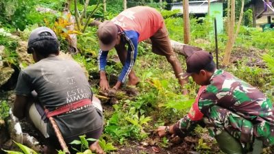 Bantu Tingkatkan Ekonomi Warga Desa Doka Kaka, Babinsa Koramil 01 Loli Beri Bibit Tanaman Kelor