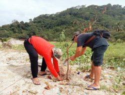 Penghijauan Tanaman Trembesi, dilaksanakan Pokdarwis Pantai Minang Rua di bibir pantai