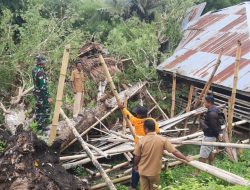 Gerak Cepat, Babinsa Koramil Katikutana, Bersama Warga Singkirkan Pohon Tumbang Yang Menimpa Rumah Warga!