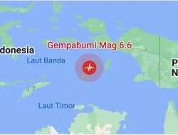 Gempa Bumi Maluku Tenggara 6,6 magnitudo, Cek kerusakan Gegara tidak terasa!