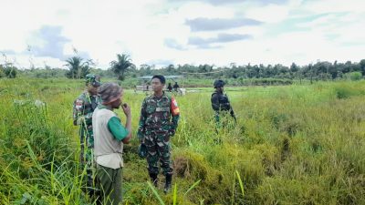 Kodim 1715 Yahukimo, Bantu Petani Lakukan Pengolahan Lahan Sawah