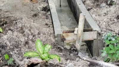 Pembangunan Drainase Desa Penghidupan Kampar Kiri diduga tanpa perencanaan dan dibangun diatas tanah warga