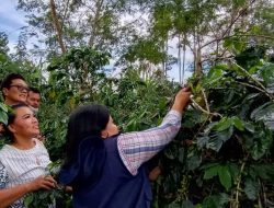 Petani Kopi Sampaikan Terima Kasih Kepada Bupati Dairi