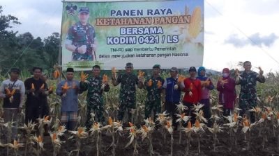 Dukung ketahanan pangan Dandim 042/LS pimpin panen raya jagung