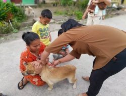 Distan  KPP Imbau warga Dairi vaksinasi rabies pada HPR