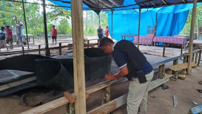 Kocar Kacir Saat Di Gerebeg Judi Sabung Ayam, Satu Tersangka Diamankan