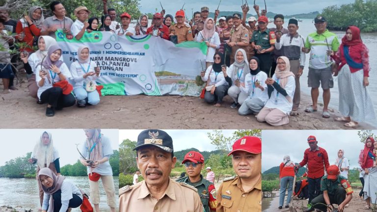 Pemerintah Desa Bakauheni, Menanam Ratusan Pohon Mangrove di Pantai  Pegantungan Lamsel