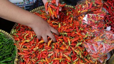 Harga Cabai dan Bahan Pangan Lain Naik, Bahan Utama Saat Galangan Ibu Ibu di Denpasar Geleng Kepala!