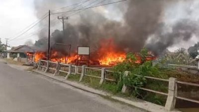 Sijago Merah Menghabiskan Warung Warga Palas, Saat ditinggal Mengikuti Pengajian Ke Lampung Timur