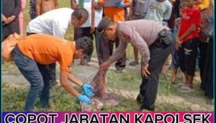 Kasus Penemuan Mayat Bayi di Medang Deras Batu Bara, Kritik Publik Terhadap Kinerja Kepolisian Polsek Medang Deras yang Lamban